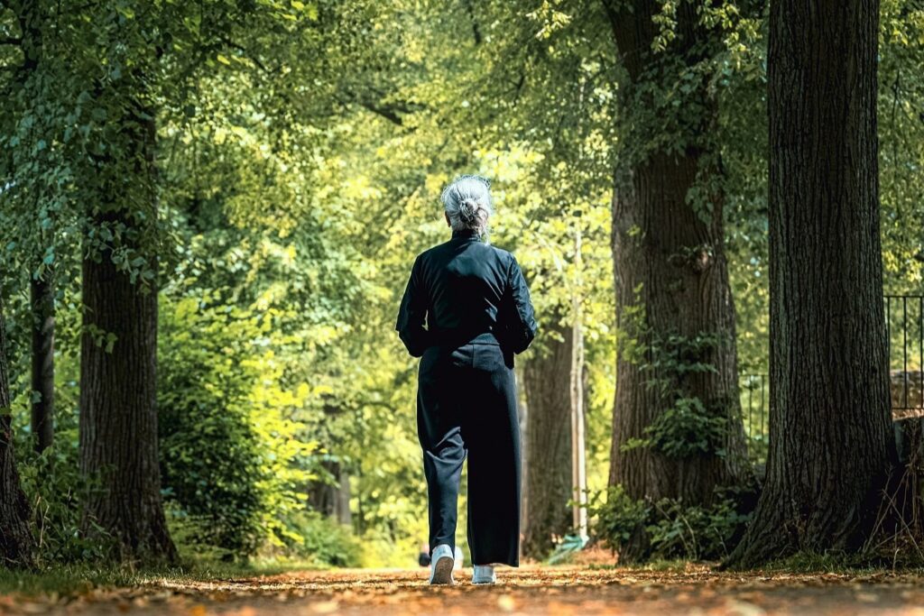 Unser Angebot wald weg 2